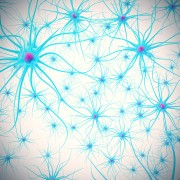 Alzheimer’s-like neurological disorder identified